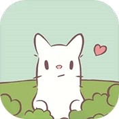 挂牌大全