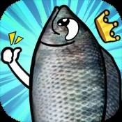 雷峰论坛高手资料大全